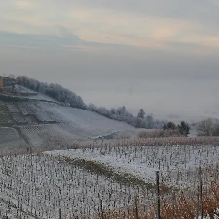 Bed & Breakfast Burgblick - Luxury *